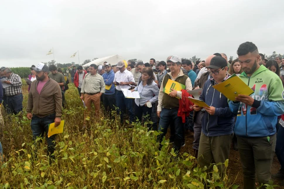 La Eeaoc hace su tradicional “Día de Campo de soja, maíz, poroto y sorgo”