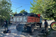 Bella Vista lanza un programa para erradicar los criaderos de mosquitos que transmiten el dengue