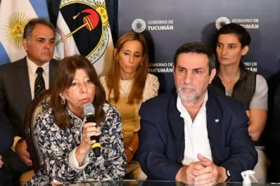 Dengue en Tucumán: El 7% de los docentes transitan la enfermedad y sólo el 4% de los alumnos, dijo Montaldo