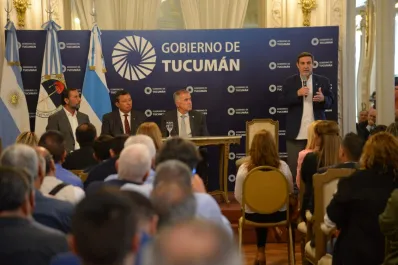 Jaldo, sobre el dengue:Esta epidemia es diferente; no hay tarea más importante que combatir la enfermedad en Tucumán