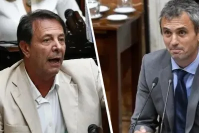 Interna libertaria: Oscar Zago cruzó a Martín Menem por la designación de Marcela Pagano