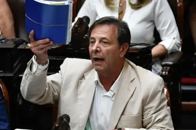 Interna oficialista: después de una disputa en una comisión, destituyeron a Zago como líder del bloque libertario
