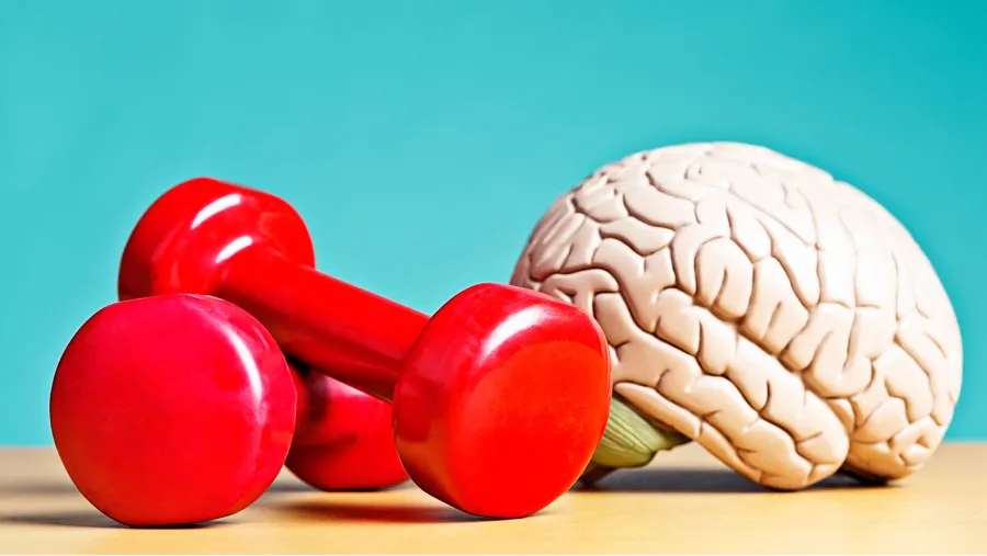 La actividad física mejora la capacidad cognitiva y mental de muchas maneras. 