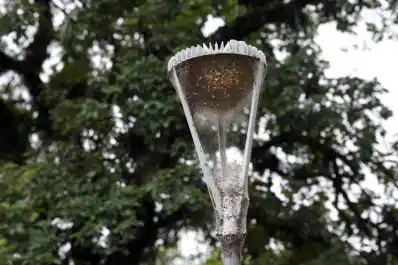 Época de telarañas: qué hacer ante ellas