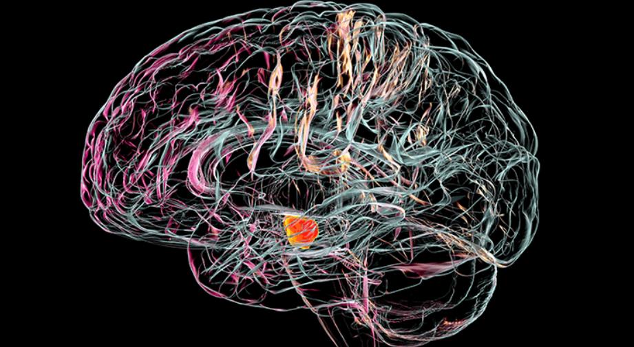 Cómo detectar el Parkinson antes de que se presenten los síntomas