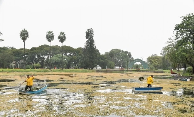 TAREAS. Los trabajos de limpieza se realizaron tanto en el interior del lago como en sus adyacencias.