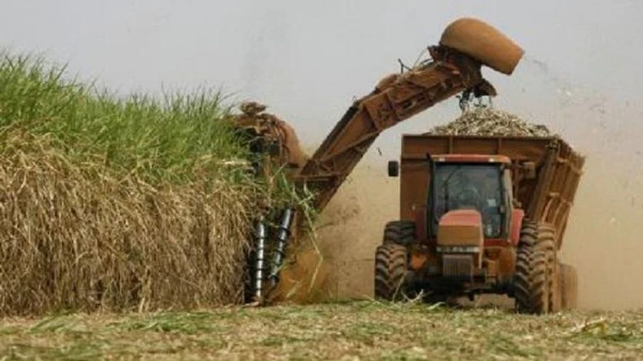 PREVISIONES. El sector sucroalcoholero de la provincia y de la región conoce que este año se dará una zafra más que importante y positiva, cuya producción se sumará a los excedentes de la anterior.