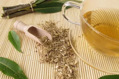 Conocé la hierba medicinal que actúa como la aspirina y alivia los dolores de cabeza