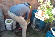 Por estas razones se espera que empiecen a descender los contagios de dengue