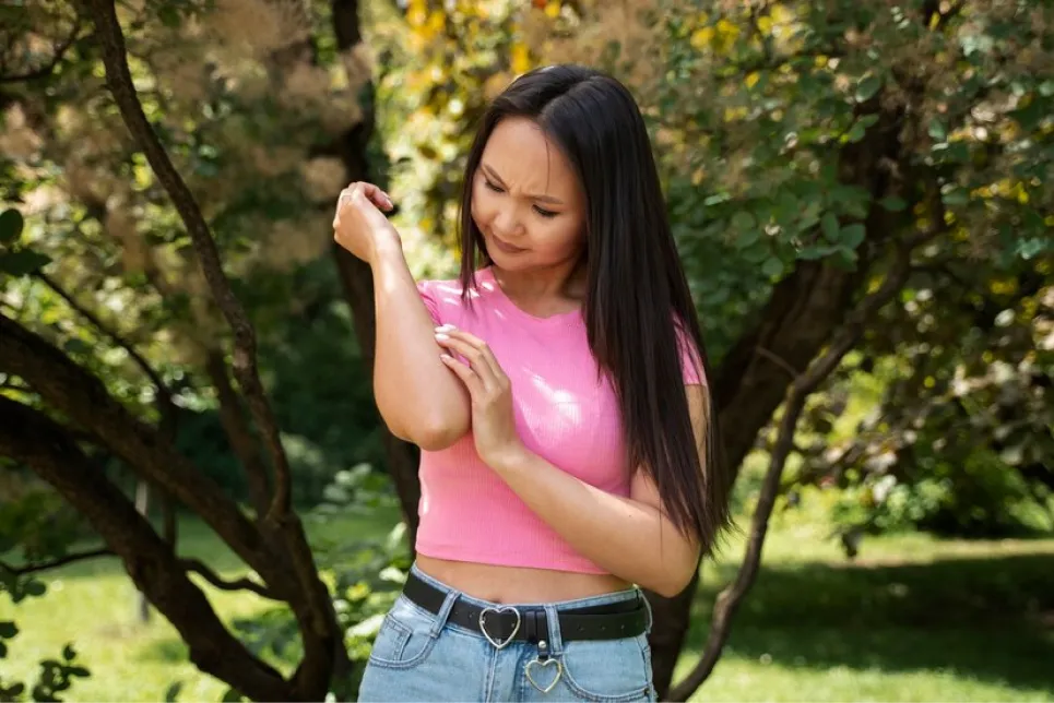 Los colores pueden incidir en la orientación de los mosquitos.