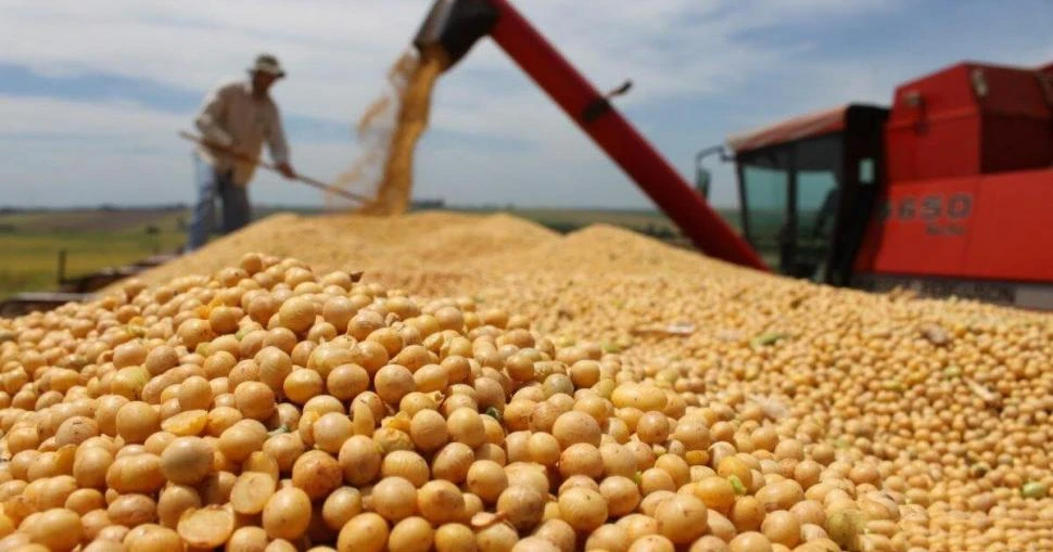 CLAVE. Después del segundo trimestre la economía debería recuperarse de la mano del sector agropecuario. 