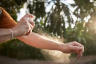 Brote de dengue: ¿cuáles son los repelentes aprobados por la Anmat?