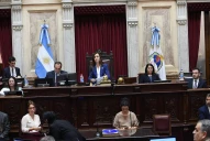 Villarruel oficializó los dictámenes de la Ley Bases y el paquete fiscal en el Senado