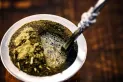 El mate podría prevenir el Parkinson, según el Conicet