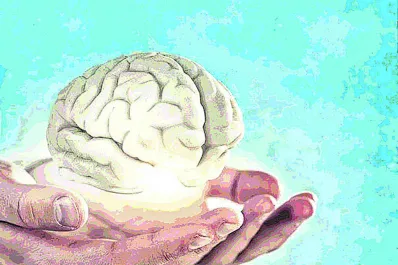 Qué tenés que comer para mejorar la salud de tu cerebro