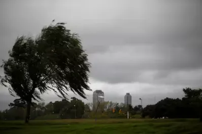 Alerta amarilla por fuertes vientos: ¿qué provincias se verán afectadas hoy?