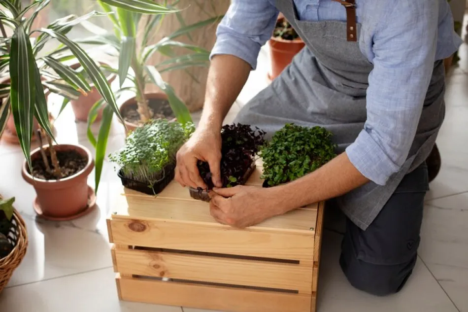 Además de verduras se pueden cultivar plantas aromáticas y flores comestibles