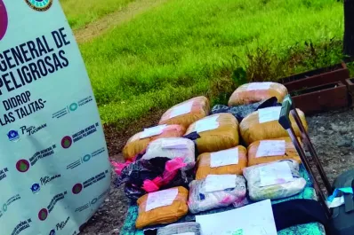 Se afianza la teoría que indica que en el norte se produce marihuana a gran escala