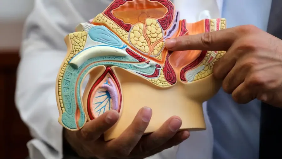 Cáncer de próstata: cuáles son las señales que avisan de la enfermedad en menores de 40 años