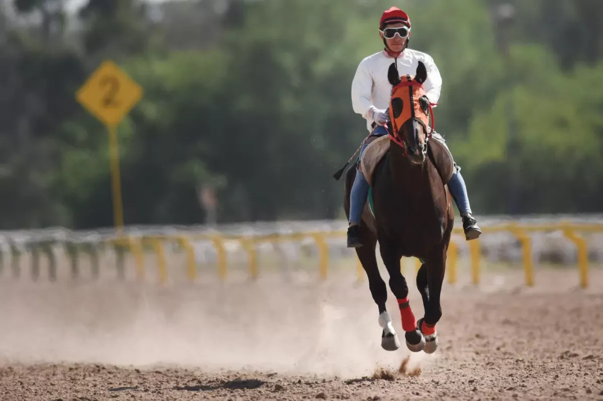 Los tucumanos irán por la gloria en el Gran Premio Autonomía Provincial de Santiago del Estero