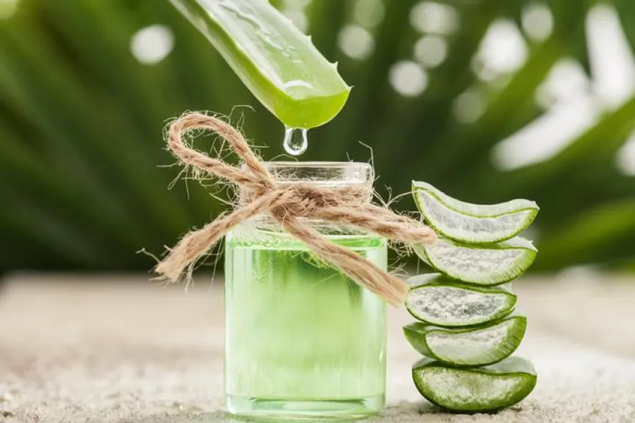 Un alimento lleno de beneficios que potenciará nuestra salud. 