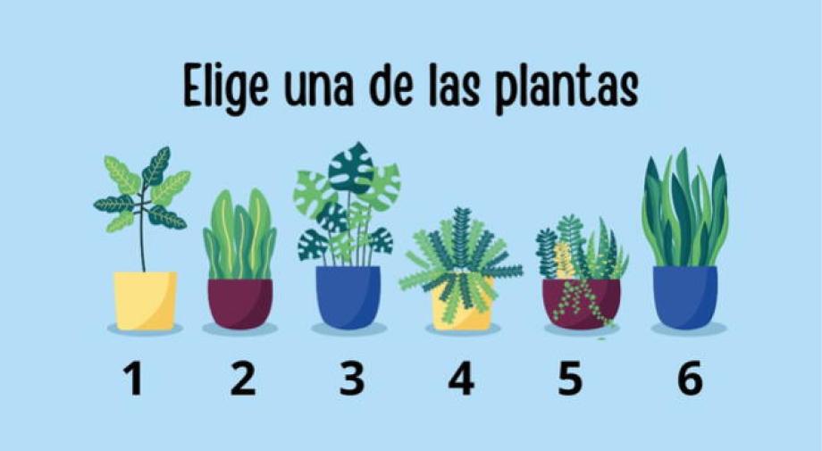 Test de personalidad: elegí una planta y descubrí cuál es tu misión en la vida