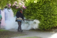 Ya hay casi 40.000 casos de dengue y dos nuevas muertes en Tucumán