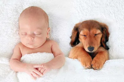 ¿Por qué le hablamos de la misma manera a los bebés y a los perros?