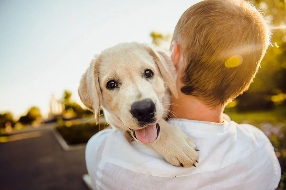 Los sonidos que despiertan la emoción de los perros.