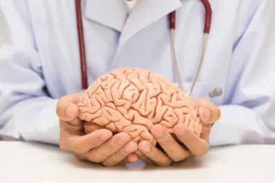 Problemas de memoria: qué ocurre en nuestro cerebro cuando llamamos a una persona por el nombre de otra