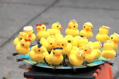 ¿Cuál es el origen de los pollitos kawaii que ya conquistaron Tucumán?