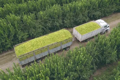 San Miguel cumple 70 años en Tucumán  y apuesta a seguir creciendo