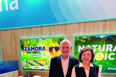 Zamora Citrus: 30 años apostando al sector citrícola de Tucumán