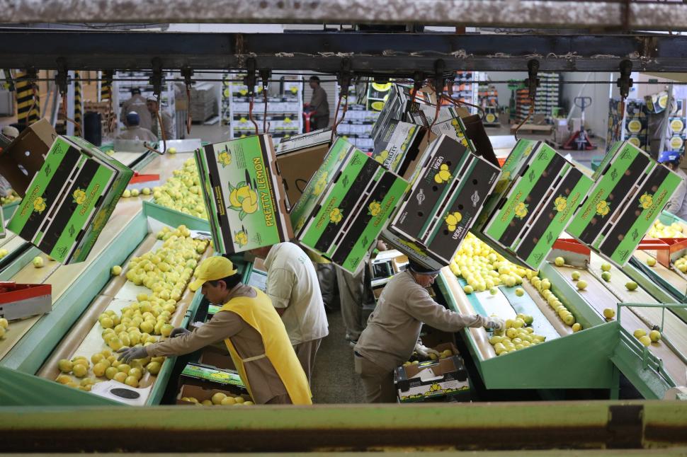 Veracruz apunta a la eficiencia para seguir compitiendo en los mercados internacionales