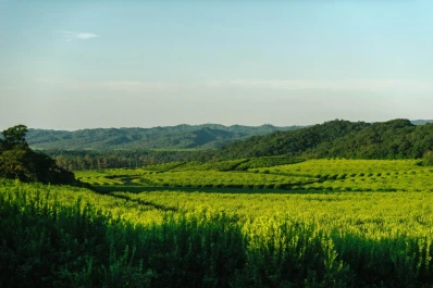 Citrusvil inspira el crecimiento regional