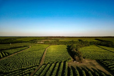 Las frutas y los productos de Frutucuman viajan a los mercados más exigentes del mundo