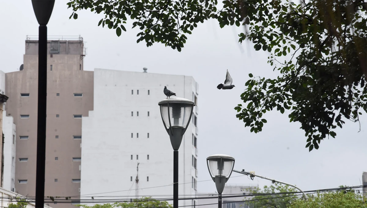 MAÑANA GRIS. En algunos sectores de la capital y del Gran San Miguel se registraron cielo cubierto y algo de niebla-