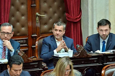 Ley Bases: el radical Mariano Campero fundamentó su voto a favor en el Congreso