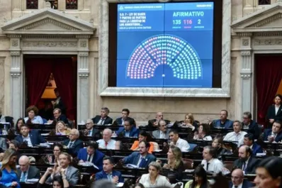 Diputados de Unión por la Patria, contra el proyecto de Ley Bases por presuntas irregularidades