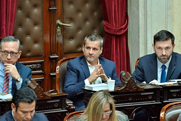 Ley Bases: el radical Mariano Campero fundamentó su voto a favor en el Congreso