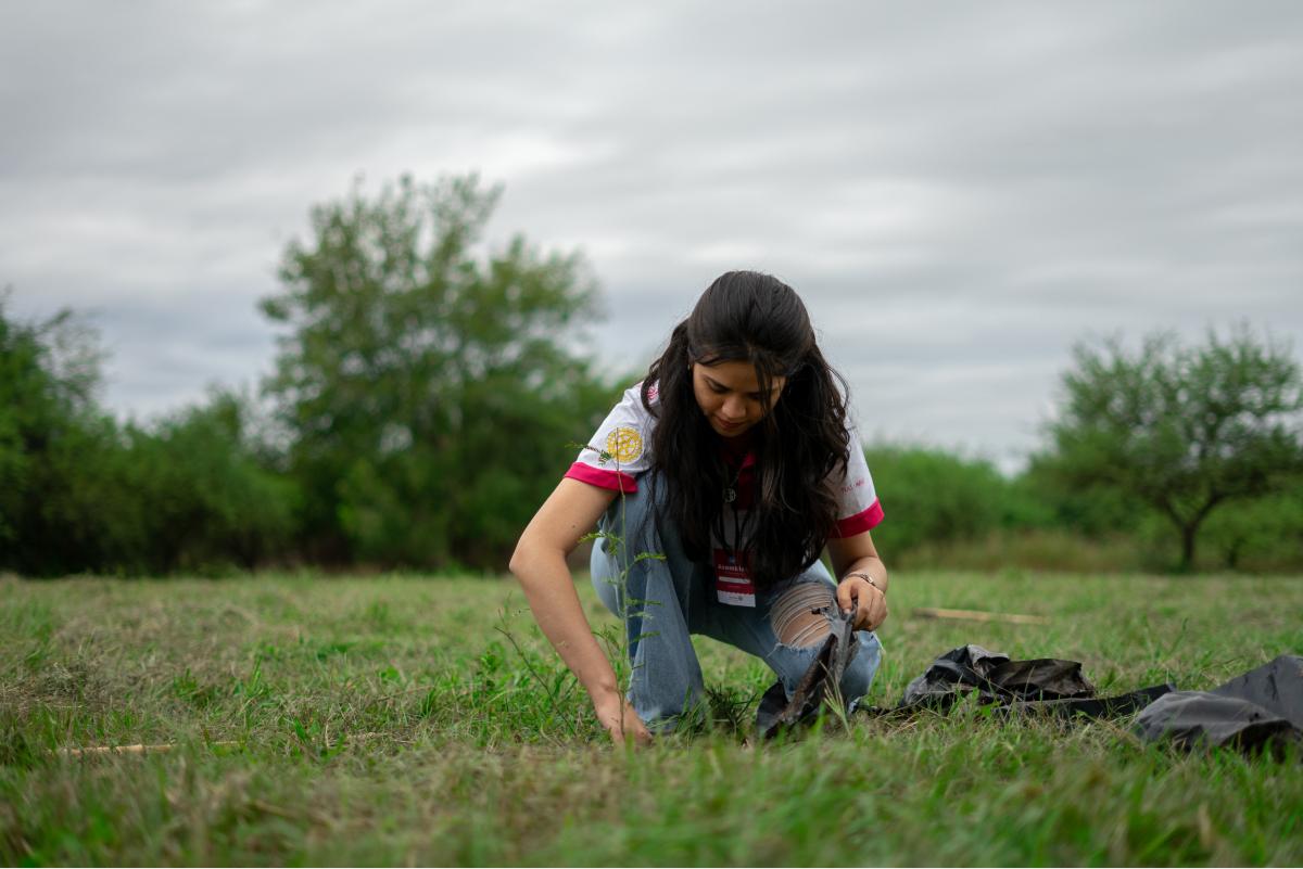 Actividad de reforestación como respuesta al cambio climático