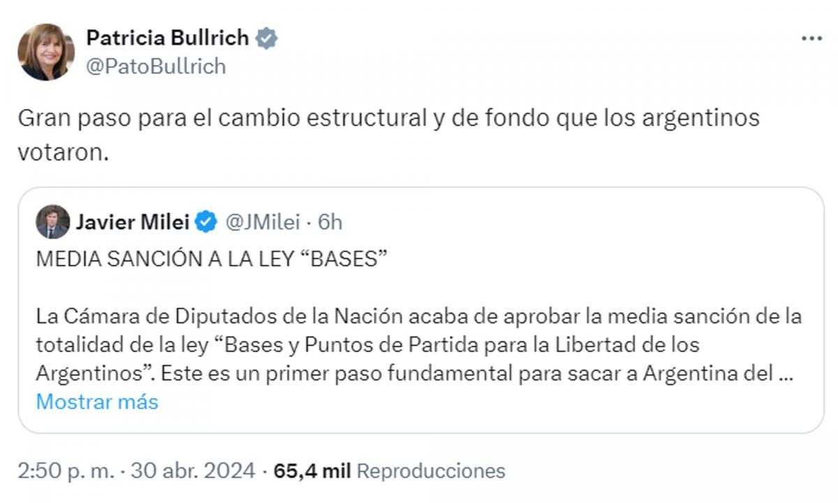 Bullrich, tras la media sanción a la Ley Bases: Gran paso para el cambio estructural