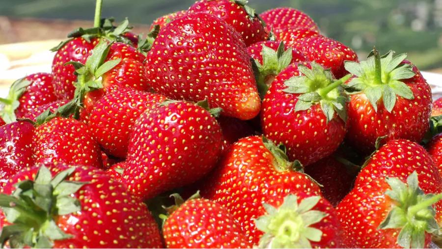 Las frutillas aportan vitaminas para tratar los problemas de tiroides