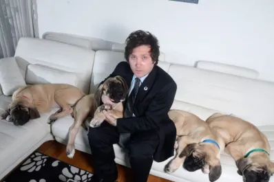 Cómo fue la clonación de los perros de Milei, según las empresas de EEUU que lo hicieron