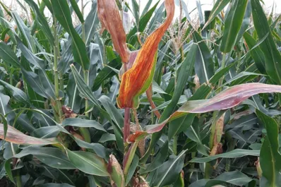 “O nos salvamos entre todos,   o aquí no se salva nadie”