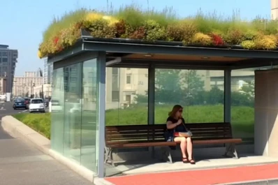 Techos con vegetación: proyecto de “cubiertas verdes”