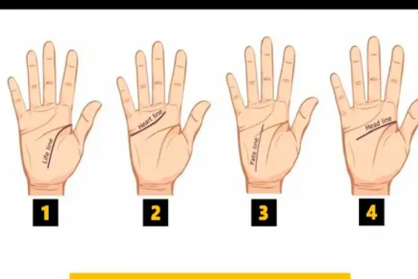 Test viral: observá las líneas de tu mano y descubrí lo que ocultan de tu personalidad