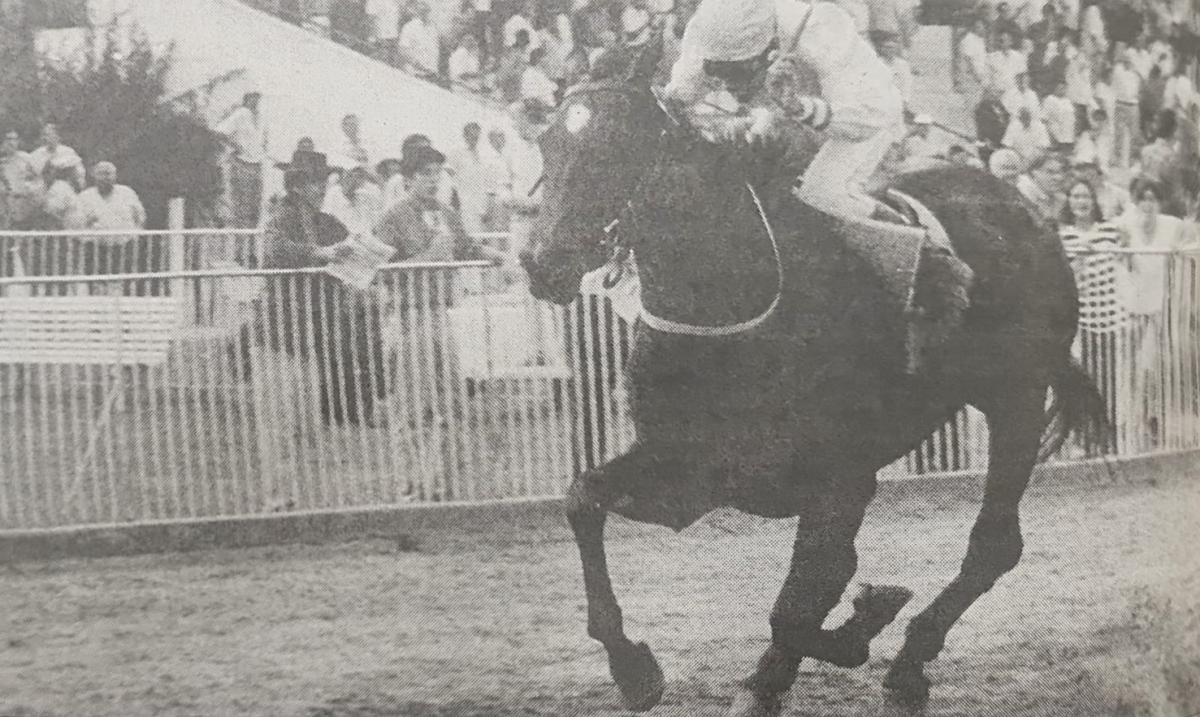 RUMBO AL DISCO. El zaino Stormy Dark fue conducido por Carlos Alberto Chirino,