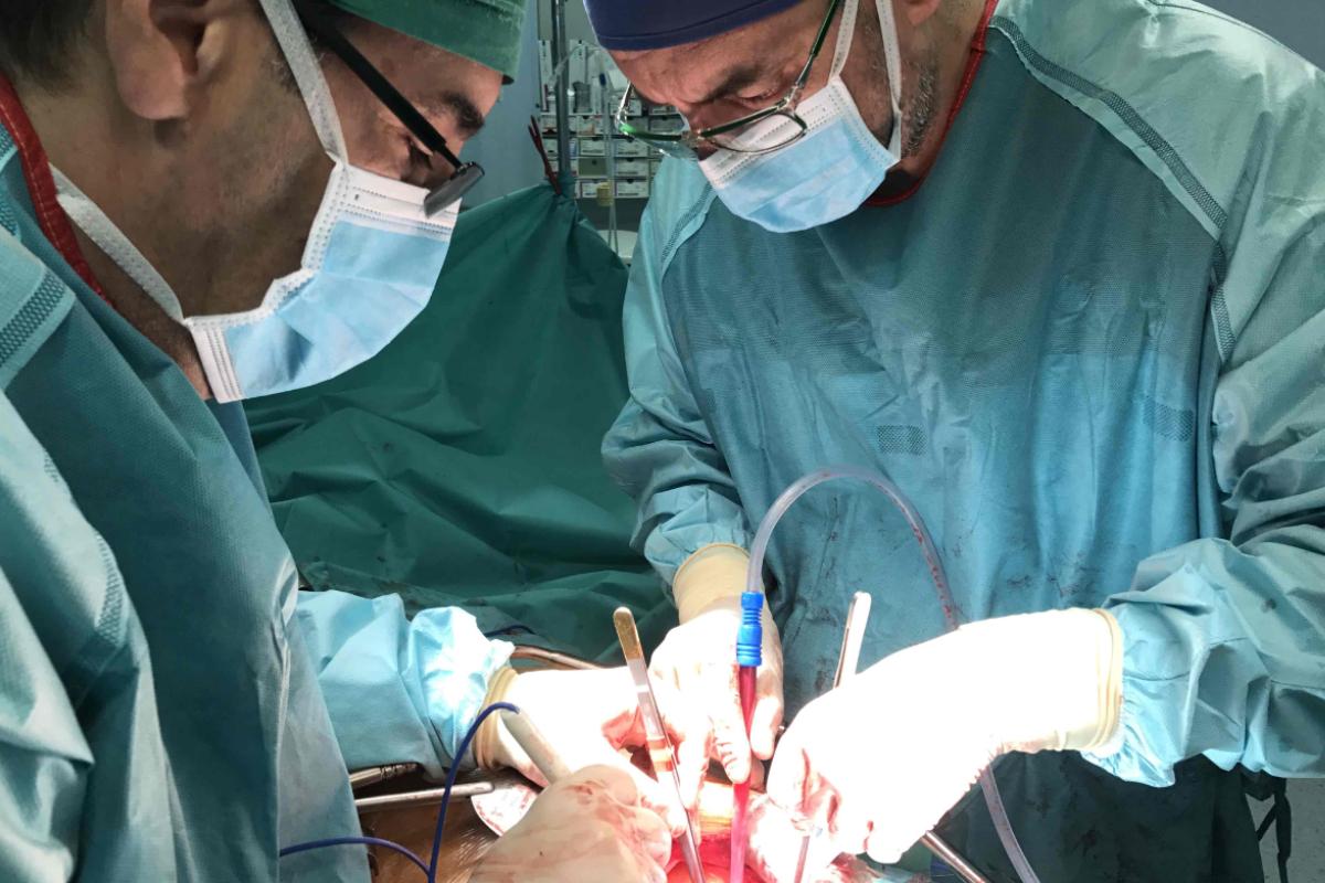 Cáncer de vejiga: cuáles son los síntomas y cuándo se debe consultar urgente al médico