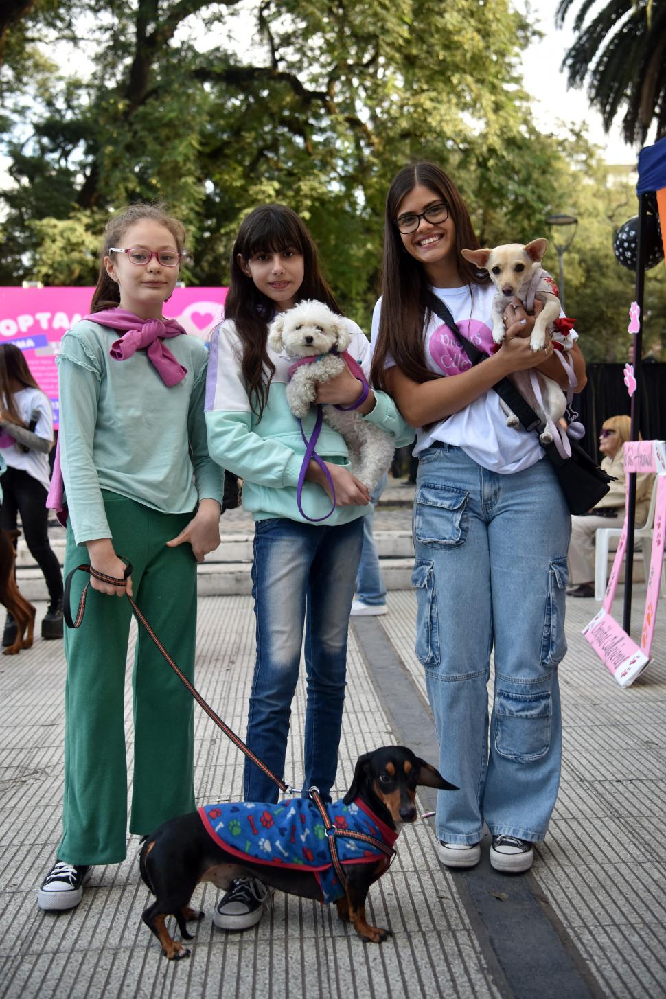 “Mi raza favorita es el rescatado”: un encuentro para reflexionar sobre las mascotas que necesitan un hogar